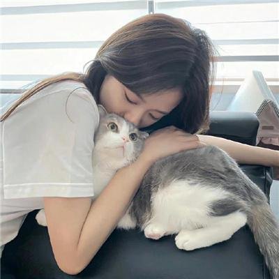 歌唱傻瓜
